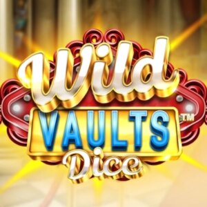 Wild Vaults Dice SYNOT Games